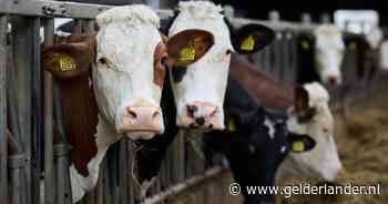 Nieuwe coalitie legt lot van boeren en vissers in handen van Brussel