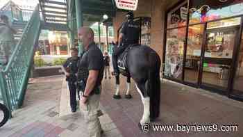 Tampa police chief presents public safety report to city council, shares plan on how to prevent gun violence