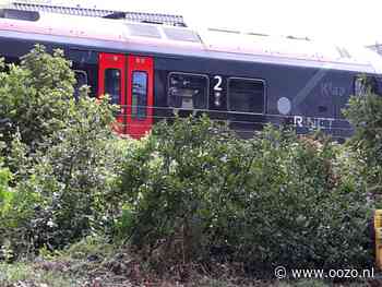 Geen treinen volgend weekend vanaf 24 mei in regio