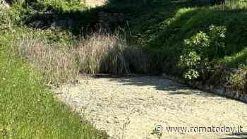 Villa Pamphilj: il canale della fontana del Giglio è rimasto a secco