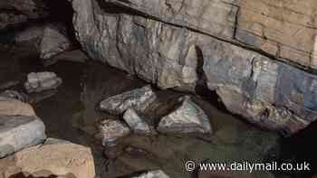 New pinkish eyeless creature is discovered in an underwater cave in China - and it could solve mysteries about evolution