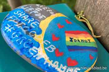 Groen verspreidt holebi-vriendelijke keien in Hamse straten