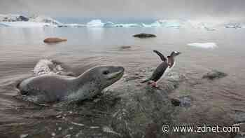 Are all Linux vendor kernels insecure? A new study says yes, but there's a fix