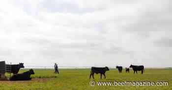 Tools for environmental challenge