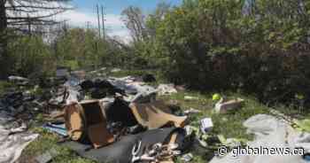 City and province squabble over Calgarian’s encampment cleanup request