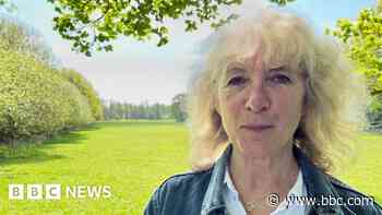 Pylons plan has 'stolen my happiness'