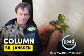 COLUMN Natuurhulpcentrum. Meesjes nestelen in chassis van bestelwagen