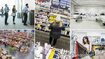 Geldanlage: Fünf Lieblingsaktien von Hedgefonds, die immer noch günstig sind