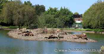 Peter Pan Park update as 'island' is built on duck pond