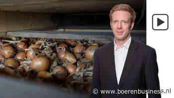 Krap aanbod goede uien sterkt vertrouwen telers