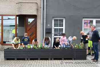 GBS Kweekstraat krijgt proefopstelling – en dat mag je letterlijk nemen – voor veiligere schoolomgeving