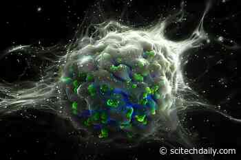 Assassin Gene Discovery Shifts Cancer Treatment Paradigms – “Very Unexpected Finding”