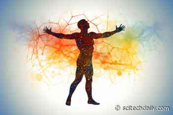 New Research Debunks Common Belief That High Lactate Levels Are Bad