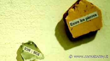 The bloom party project