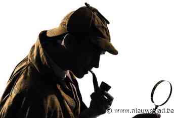 Op zomerzoektocht in Boom