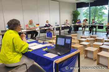 Tienerministers leren door rollenspel Europa kennen