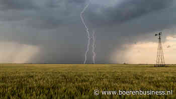 Potentie is er maar tarwe in Kansas ligt nog wel buiten