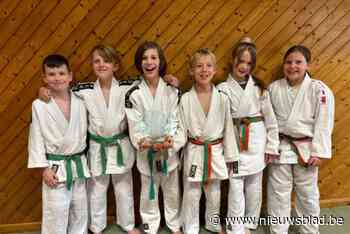 Uitstekend resultaat voor judoclub Lede op internationale IPPON Trophy Antwerp