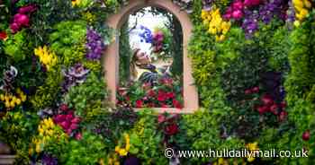 Chelsea Flower Show garden to be donated to charity as part of Water Saving Week