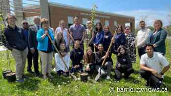 York Region schools sprout new tiny forests