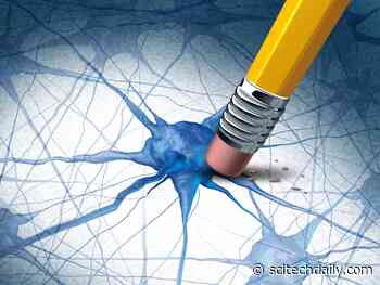 Unlocking the Secrets of Aging: Chinese Researchers Discover Potential Key to Alzheimer’s Disease