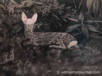 Three to See Edmonton Events: Into the Night, ESO Rachmaninoff and The Teaches of Peaches