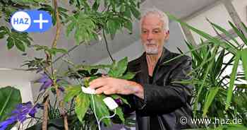 Hannover: Ausstellung in der Kubus Galerie bringt Zimmerpflanzen zum Sprechen