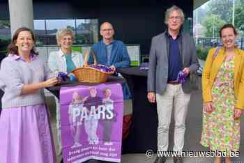 School Sancta Maria kleurt helemaal paars voor dag tegen holebi- en transfobie