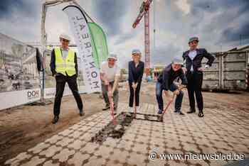 Tegelwippen op Olympisch niveau aan het Rode Kruisplein