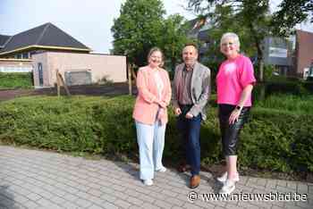 Parking Zuidlaan wordt groen plekje