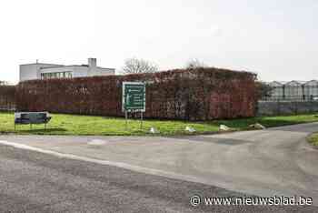 Kweker Dirk Mermans gunt blik in normaal afgesloten serre: verdwalen in immens tropisch plantenwoud