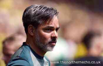 Middlesbrough & Sunderland rivals Norwich sack David Wagner