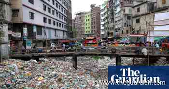 Billie Eilish, dogs and lift-off: photos of the day – Friday