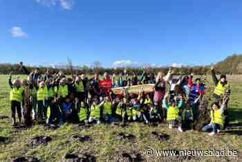 Gouden boslabel voor Brugge