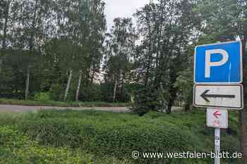 Beliebter Stellplatz in Delbrück-Steinhorst könnte Radweg weichen
