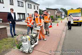 Zes kilometer lange groene lijn dwars door Waterschei: “Ze loopt langs verrassende plekken”