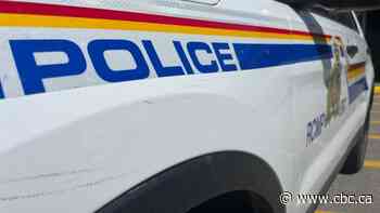Sask. RCMP asking for public's help to identify decade-old human remains found near Moose Jaw