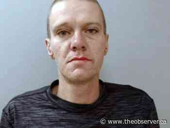 Sarnia man pleads guilty to manslaughter in senior’s fatal stabbing