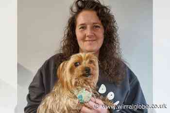 Wirral rescue centre issued urgent appeal after eviction notice