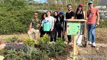 “Oasi di biodiversità” nel campus universitario di Tor Vergata: al via il progetto
