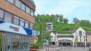 Spektakel für Kran-Fans: Calw zelebriert den etwas anderen Brückentag