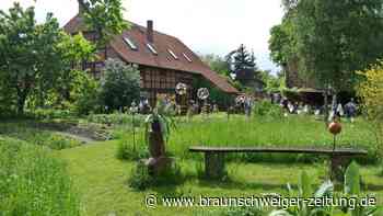 Pfingsten im Kreis Peine: Tipps für das lange Wochenende