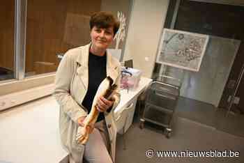 Bus reed Daels Kruis omver, Slingerkruis geveld door storm, maar beide ijkpunten komen terug