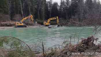 Für die „heimlichen Mitbewohner der Isar“: Umfangreiche Arbeiten für Äsche, Nase und Huchen