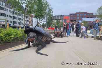 Laatste deel Zuidpark op voormalige Gedempte Zuiderdokken geopend