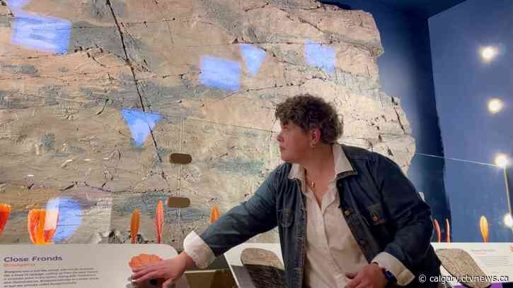 'Oldest-known fossils' showcased in new Royal Tyrell Museum exhibit