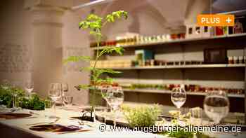 Museumstag, Literatur, Musik: Viel los am Pfingstwochenende im Raum Ulm