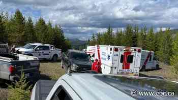 Man airlifted to Foothills hospital after bear attack in B.C. Rockies: RCMP