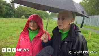 Volunteers heartbroken as 80 fruit trees stolen