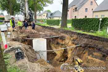 Buren vrezen dat eeuwenoude eiken werken niet overleven in Wiemesmeer